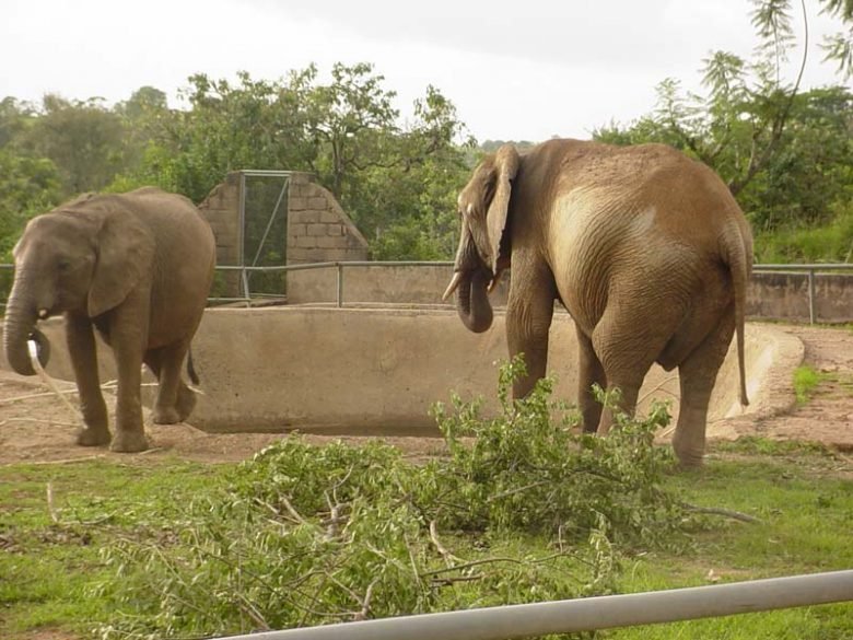 Jos Wildlife Park