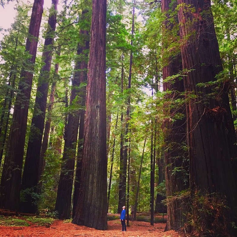 Del Norte County 9 Incredible Star Wars Film Locations