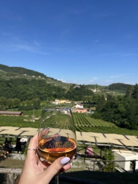 Wine country in Italy
