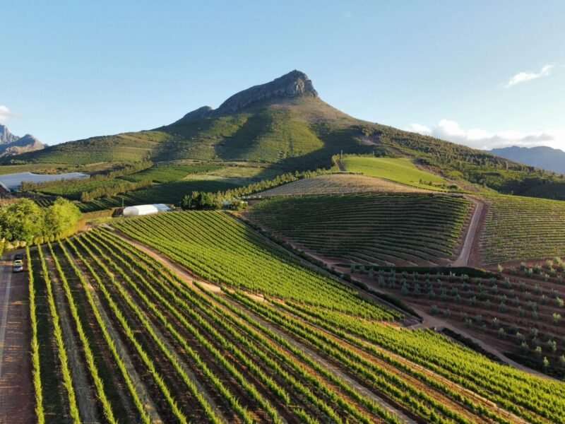Stellenbosch wine farm. Things to do on your birthday in Cape Town