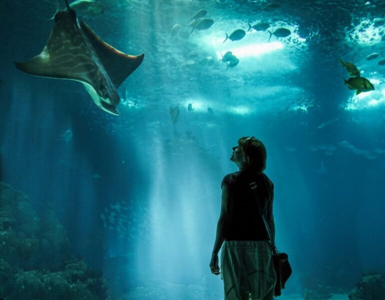 Budget-friendly activities in Cape Town under R200.