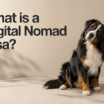 What is a digital nomad visa?