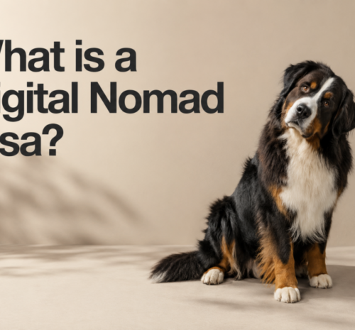 What is a digital nomad visa?
