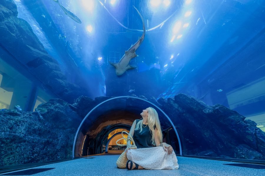 Dubai Aquarium